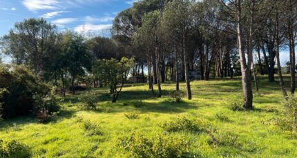 Grimaud Terrain à bâtir - 2385626-9891annonce1202601087M6Gu.jpeg PCA Maisons