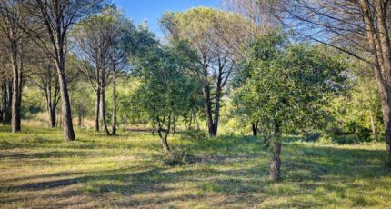 Grimaud Maison neuve - 2385629-9891annonce820260108UrtIF.jpeg PCA Maisons