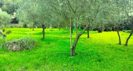 Draguignan Maison neuve - 2354444-10025annonce220251202kQTGJ.jpeg PCA Maisons