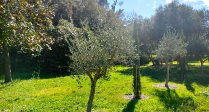 Draguignan Maison neuve - 2354714-10025annonce120251202aqtTF.jpeg PCA Maisons