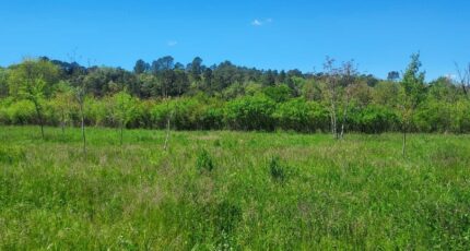 Tourves Terrain à bâtir - 2387049-9879annonce2202601096rcqx.jpeg PCA Maisons