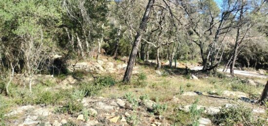 Terrain à bâtir à Besse-sur-Issole, Provence-Alpes-Côte d'Azur