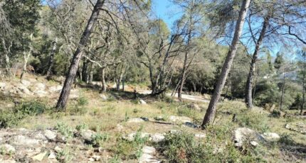 Besse-sur-Issole Terrain à bâtir - 2389767-10025annonce220260311obAS0.jpeg PCA Maisons