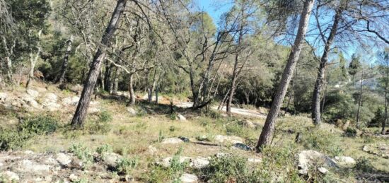 Terrain à bâtir à , Var