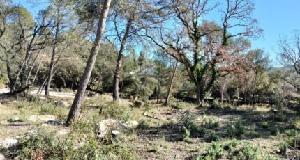 Besse-sur-Issole Terrain à bâtir - 2389767-10025annonce420260311rXKzw.jpeg PCA Maisons