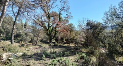 Besse-sur-Issole Maison neuve - 2389803-10025annonce320260311tyrNF.jpeg PCA Maisons