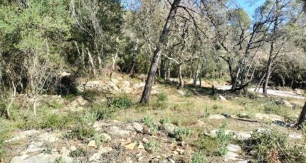 Besse-sur-Issole Maison neuve - 2389803-10025annonce120260311LhsGm.jpeg PCA Maisons