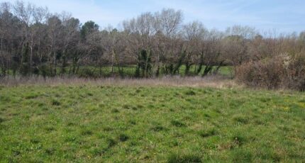 Fox-Amphoux Maison neuve - 2451825-10025annonce220260310yeV8m.jpeg PCA Maisons