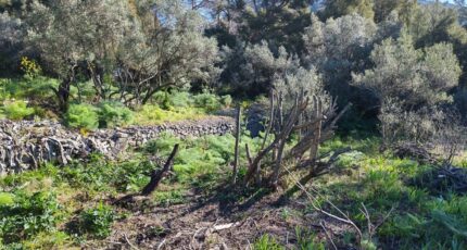 Toulon Terrain à bâtir - 2456870-10025annonce420260313dXQwd.jpeg PCA Maisons