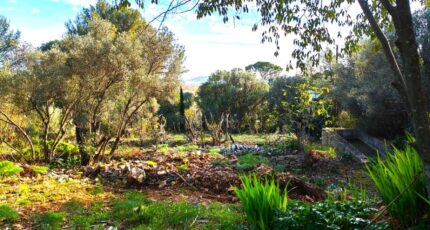 Toulon Maison neuve - 2456953-10025annonce1202603132SM97.jpeg PCA Maisons