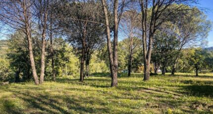 Grimaud Maison neuve - 2457003-9891annonce520260108uJpzl.jpeg PCA Maisons