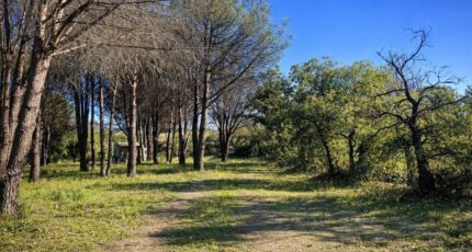 Grimaud Maison neuve - 2457003-9891annonce220260108WXXFJ.jpeg PCA Maisons