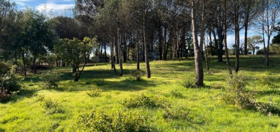 Maison neuve à , Var