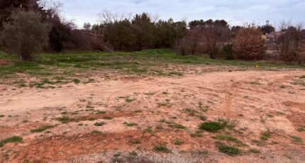 Pourrières Terrain à bâtir - 2454309-10025annonce5202603129WOtT.jpeg PCA Maisons