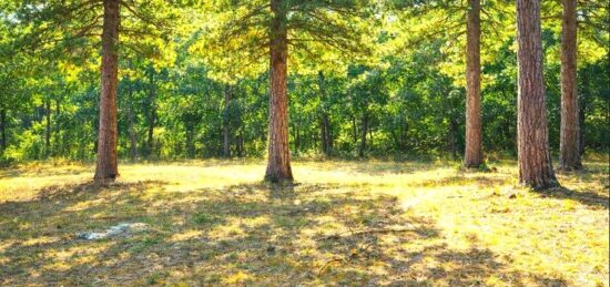 Terrain à bâtir à , Var