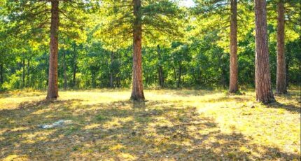 Brignoles Maison neuve - 2456757-10025annonce220260313OC3qp.jpeg PCA Maisons