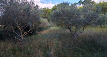 Carnoules Terrain à bâtir - 2459436-9891annonce120260317zqxGb.jpeg PCA Maisons