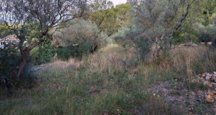 Carnoules Terrain à bâtir - 2459436-9891annonce320260317bTyGX.jpeg PCA Maisons