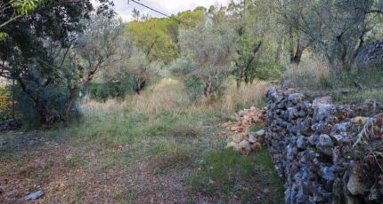 Carnoules Terrain à bâtir - 2459436-9891annonce420260317p4rXK.jpeg PCA Maisons