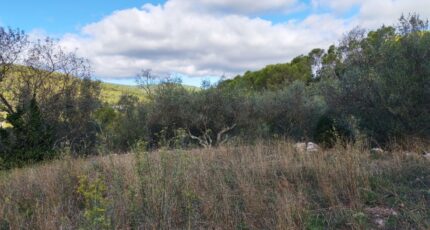 Carnoules Terrain à bâtir - 2459436-9891annonce220260317zw8hi.jpeg PCA Maisons