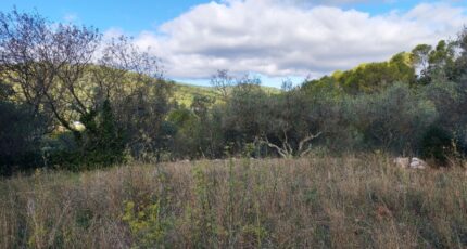 Carnoules Terrain à bâtir - 2459436-9891annonce420260317zThvv.jpeg PCA Maisons