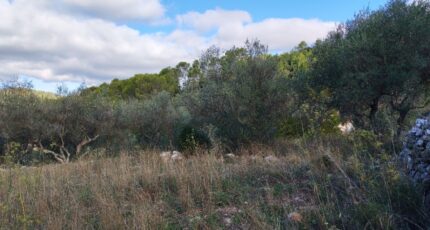 Carnoules Maison neuve - 2459444-9891annonce120260317JrMqp.jpeg PCA Maisons