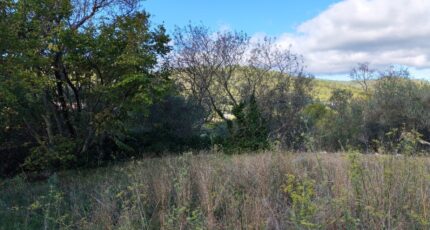 Carnoules Maison neuve - 2459444-9891annonce9202603173TehL.jpeg PCA Maisons