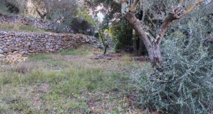 Carnoules Maison neuve - 2459444-9891annonce220260317WFaI2.jpeg PCA Maisons