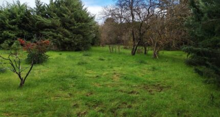 Saint-Maximin-la-Sainte-Baume Maison neuve - 2460990-10025annonce520251203MfdtS.jpeg PCA Maisons