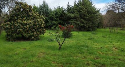 Saint-Maximin-la-Sainte-Baume Maison neuve - 2460990-10025annonce22025120356XBD.jpeg PCA Maisons