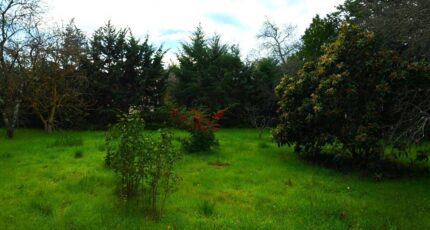 Saint-Maximin-la-Sainte-Baume Maison neuve - 2460990-10025annonce320251203FEAw4.jpeg PCA Maisons