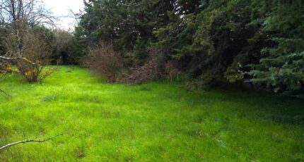 Saint-Maximin-la-Sainte-Baume Maison neuve - 2460990-10025annonce120251203bzdDA.jpeg PCA Maisons