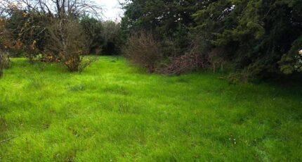 Saint-Maximin-la-Sainte-Baume Maison neuve - 2460990-10025annonce2202512032gCOR.jpeg PCA Maisons