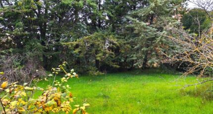 Saint-Maximin-la-Sainte-Baume Maison neuve - 2460990-10025annonce520251203N1V57.jpeg PCA Maisons