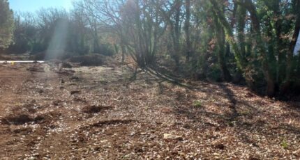 Bras Maison neuve - 2461809-9879annonce420260319ZSIA3.jpeg PCA Maisons