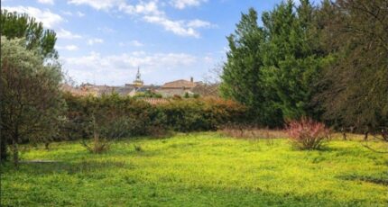 Tavernes Maison neuve - 2464319-10025annonce12026032320Nho.jpeg PCA Maisons