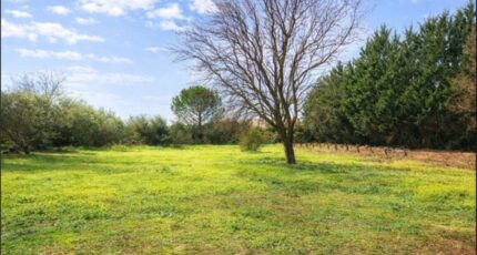 Tavernes Maison neuve - 2464319-10025annonce220260323QnFxP.jpeg PCA Maisons