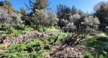 Toulon Terrain à bâtir - 2468534-10025annonce520260326TOyLt.jpeg PCA Maisons