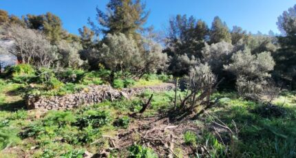 Toulon Maison neuve - 2468543-10025annonce220260326WIlo5.jpeg PCA Maisons