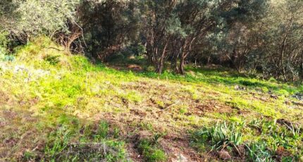 Toulon Terrain à bâtir - 2468632-10025annonce520260326H9IIC.jpeg PCA Maisons