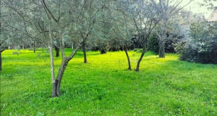 Draguignan Terrain à bâtir - 2468713-10025annonce320260326DVKxg.jpeg PCA Maisons