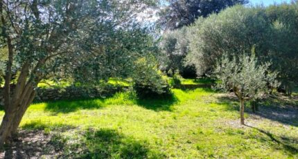 Draguignan Maison neuve - 2468903-10025annonce220260326HZZb3.jpeg PCA Maisons