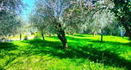 Draguignan Maison neuve - 2468903-10025annonce120260326EWUHH.jpeg PCA Maisons