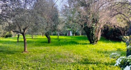 Draguignan Maison neuve - 2468903-10025annonce5202603261JyVg.jpeg PCA Maisons