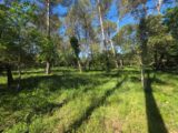 Terrain à bâtir à Garéoult (83136) 2662728-10025annonce320261005ry0OU.jpeg PCA Maisons