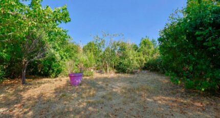 Solliès-Pont Terrain à bâtir - 2664643-10025annonce120261006kbKhw.jpeg PCA Maisons