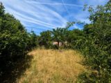Terrain à bâtir à Solliès-Pont (83210) 2664673-10025annonce420261006XFVJS.jpeg PCA Maisons