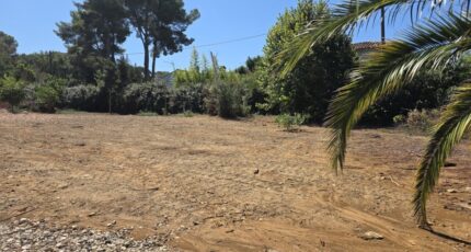 Six-Fours-les-Plages Terrain à bâtir - 2664759-10025annonce220261006sbLzW.jpeg PCA Maisons