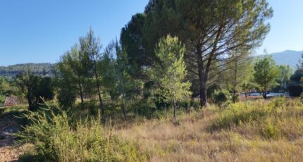 Camps-la-Source Terrain à bâtir - 2664788-10025annonce220261006PAgFP.jpeg PCA Maisons