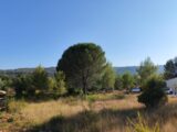 Terrain à bâtir à Camps-la-Source (83170) 2664805-10025annonce220261006XKl6G.jpeg PCA Maisons
